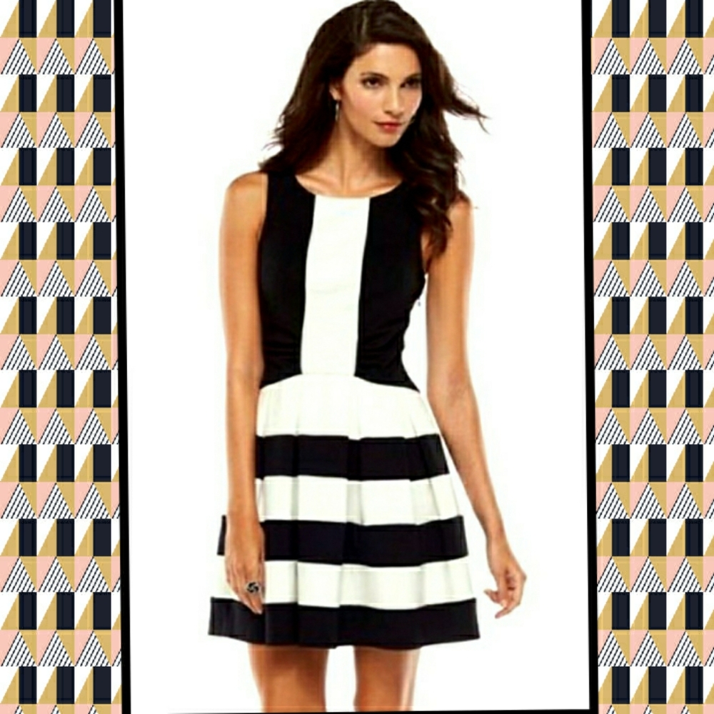 Elle Pleated Black & White Dress